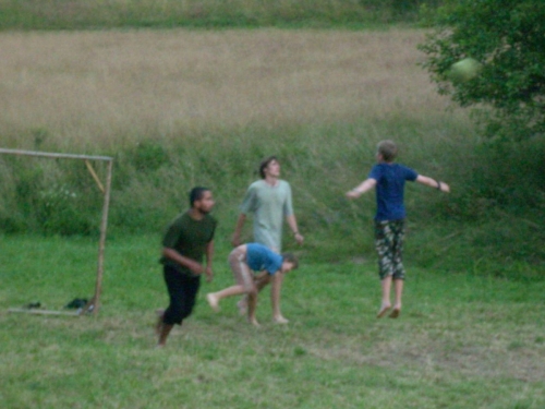 Divák na hřišti cvičí na spartakiádu.