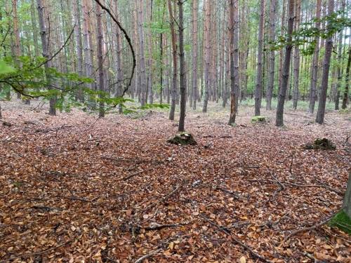Hromadná fotka všech účastníků - dětí