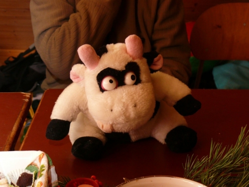 A vítězem byla kráva. A uměla se smát... ha, ha, ha...