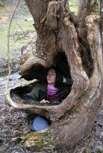 Stromová kráska.