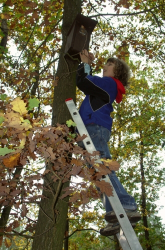Já tě dostanu ty hřebíku...