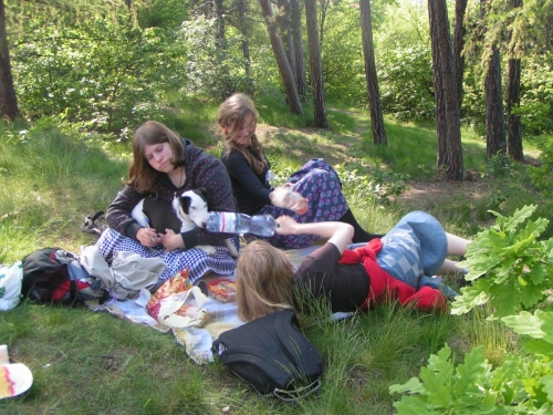 Byla to dřina.