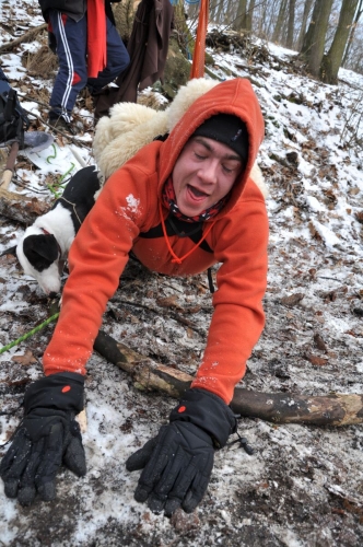 Od kdy jsou ovce oranžové a na tlamě fialové?