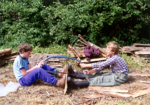 Aplík s Vosou řežou (1996)