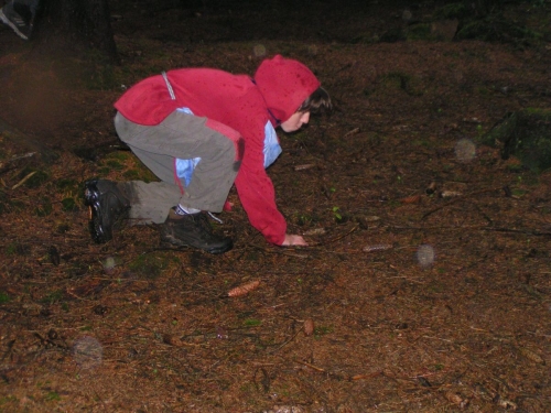 Sběrač.